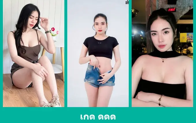 เปิดวาร์ป เกด ดดด - warpshub