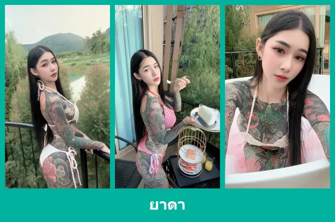 เปิดวาร์ป ยาดา - warpshub