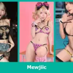 เปิดวาร์ป Mewjiic - warpshub