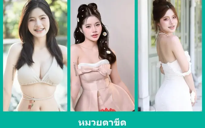 เปิดวาร์ป หมวยตาขีด - warpshub